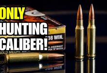 Why The .308 Winchester Is The Strongest “One Hunting Caliber” Pick