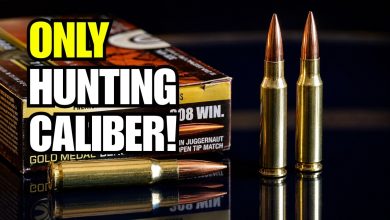 Why The .308 Winchester Is The Strongest “One Hunting Caliber” Pick