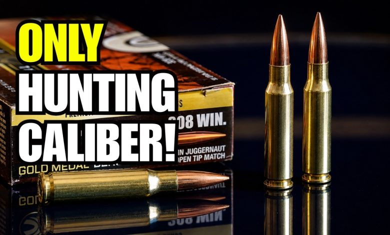 Why The .308 Winchester Is The Strongest “One Hunting Caliber” Pick