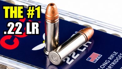 9 Best .22 LR Ammo for Defense, Hunting, and Reliability In 2026 9 Best .22 LR Ammo for Defense, Hunting, and Reliability In 2026