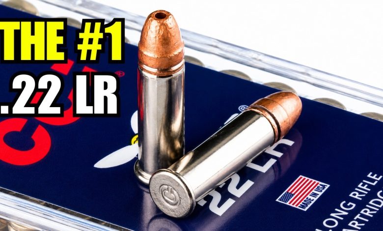 9 Best .22 LR Ammo for Defense, Hunting, and Reliability In 2026