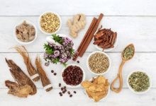 Herbs And Foods That Support The Immune System During Long Stressful Times – Survivopedia