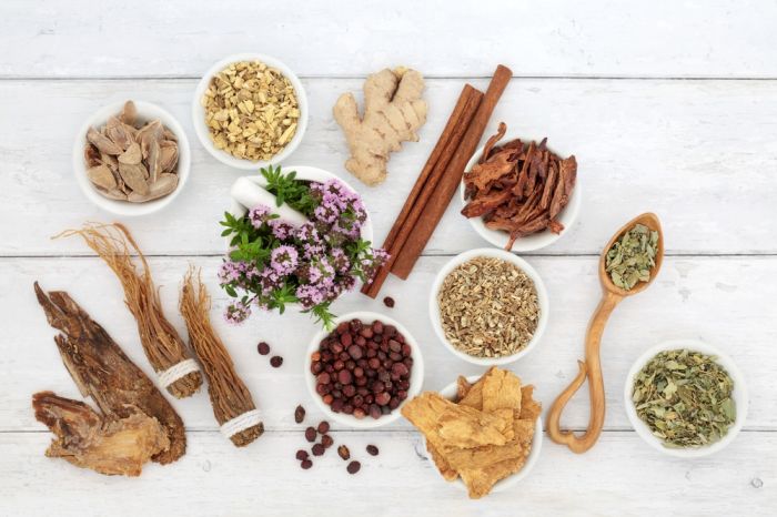 Herbs And Foods That Support The Immune System During Long Stressful Times – Survivopedia