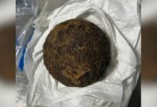 TSA stops Alabama traveler for Civil War-era cannonballs in luggage