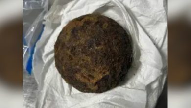 TSA stops Alabama traveler for Civil War-era cannonballs in luggage TSA stops Alabama traveler for Civil War-era cannonballs in luggage