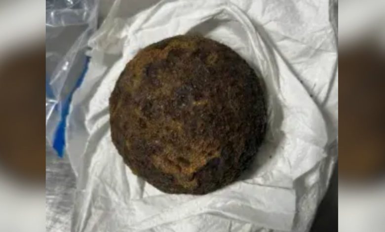 TSA stops Alabama traveler for Civil War-era cannonballs in luggage TSA stops Alabama traveler for Civil War-era cannonballs in luggage