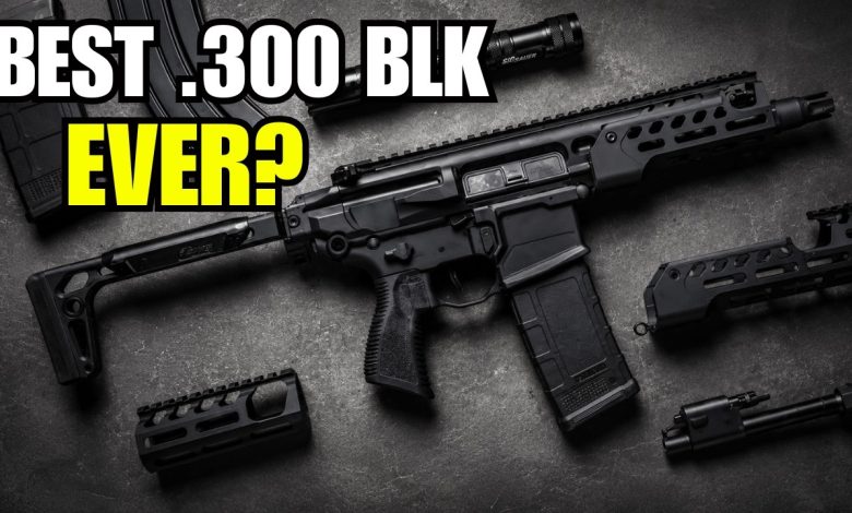 Sig Sauer Rattler LT Review: Is This The Best .300 Blackout Rifle?