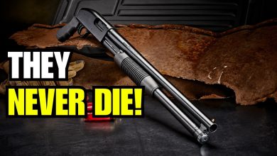 6 Guns So Cheap They’re Embarrassing… Until You Find Out Why They Never Die