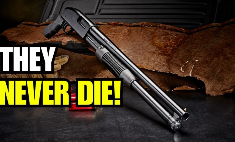 6 Guns So Cheap They’re Embarrassing… Until You Find Out Why They Never Die