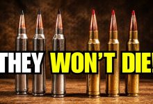 7 Forgotten Hunting Calibers That Refuse to Die