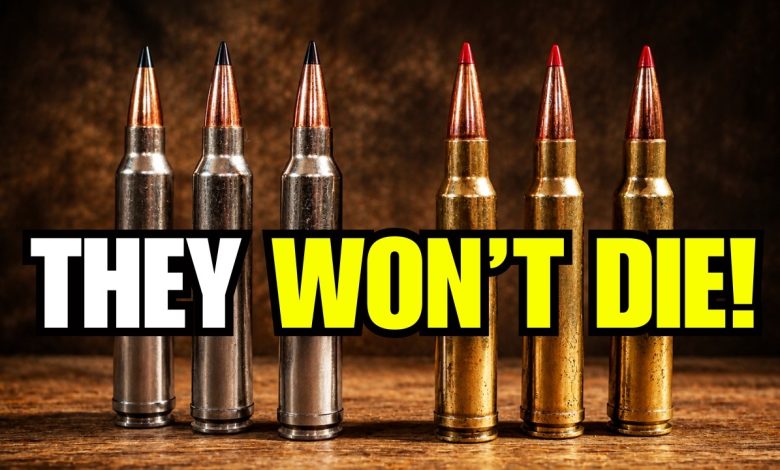 7 Forgotten Hunting Calibers That Refuse to Die