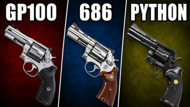 GP100 vs 686 vs Python: Most Shooters Pick the Wrong One GP100 vs 686 vs Python: Most Shooters Pick the Wrong One