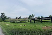 Army buys Virginia facility to stable The Old Guard’s caisson horses