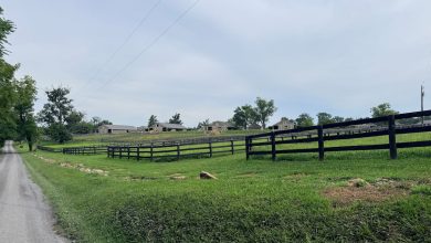 Army buys Virginia facility to stable The Old Guard’s caisson horses