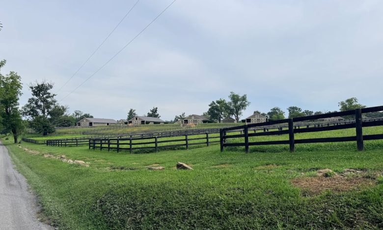 Army buys Virginia facility to stable The Old Guard’s caisson horses