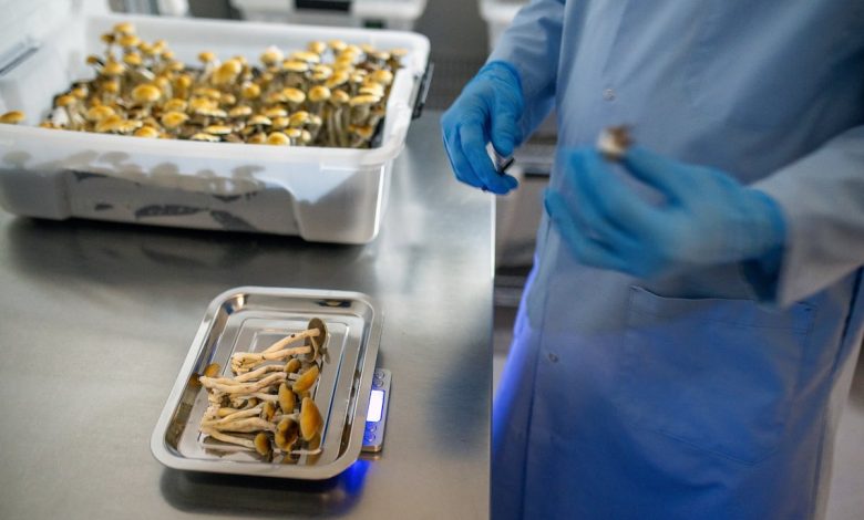 Major VA study to examine effectiveness of psilocybin on depression, PTSD Major VA study to examine effectiveness of psilocybin on depression, PTSD