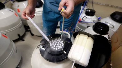 DoD to launch pilot for some service members to freeze sperm, eggs DoD to launch pilot for some service members to freeze sperm, eggs