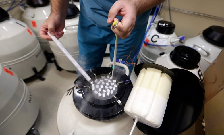 DoD to launch pilot for some service members to freeze sperm, eggs DoD to launch pilot for some service members to freeze sperm, eggs