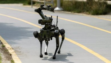How US military funding propelled China’s robot dogs