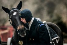 The Army certifies its first equestrians as it revamps horse care