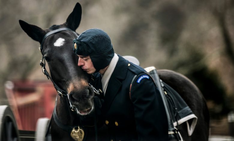 The Army certifies its first equestrians as it revamps horse care The Army certifies its first equestrians as it revamps horse care