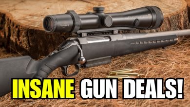 5 CHEAP GUNS EVERYONE IGNORES (But These 5 Guns Are Absolute Goldmines)