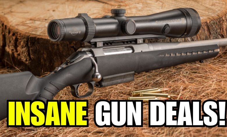 5 CHEAP GUNS EVERYONE IGNORES (But These 5 Guns Are Absolute Goldmines)