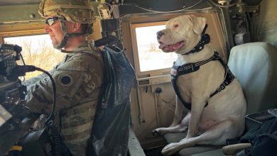 Meet Axel, the deaf rescue dog now set to deploy Meet Axel, the deaf rescue dog now set to deploy