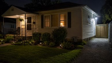 Lights, Sound, And Human Patterns That Deter Trouble – Survivopedia