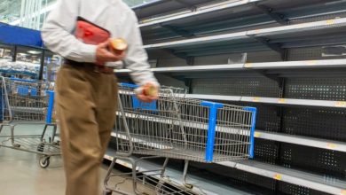 Export Bans Are The Loudest Signal In Food – Survivopedia Export Bans Are The Loudest Signal In Food – Survivopedia