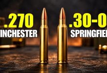 .270 vs .30-06: The Better Hunting Round Is Not That Simple