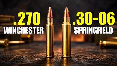 .270 vs .30-06: The Better Hunting Round Is Not That Simple