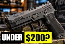 8 Pistols Under 0 That Outperformed Models 5x Their Price