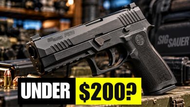 8 Pistols Under 0 That Outperformed Models 5x Their Price